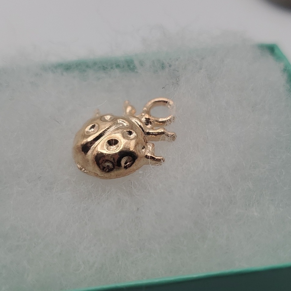 Ladybug nature‎ charm